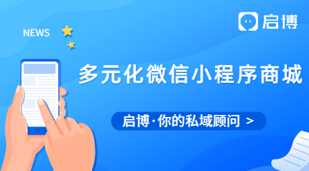 什么是多元化的微信小程序商城?有什么用？